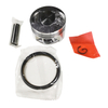 Piston+ Ring 13P