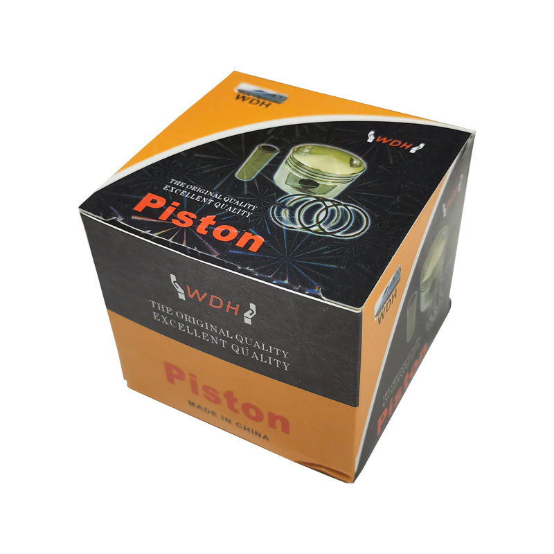 Piston+ Ring