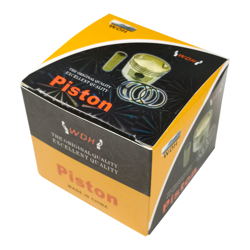 Piston+ Ring 13P