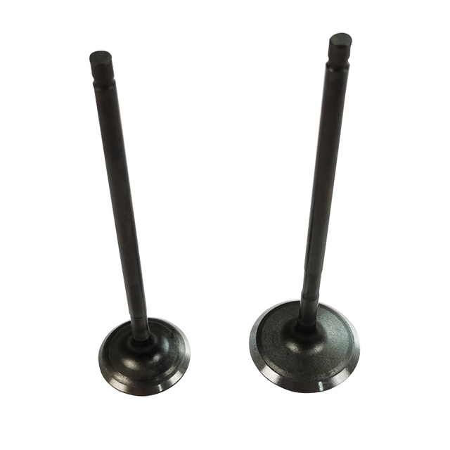Valve With Nails