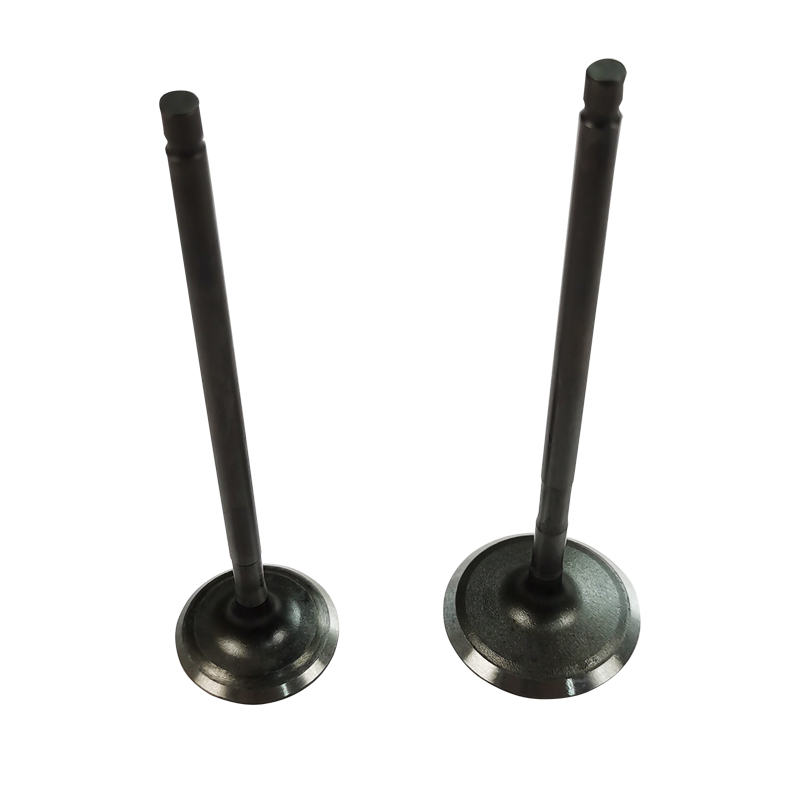 Valve With Nails