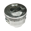 Piston+ Ring