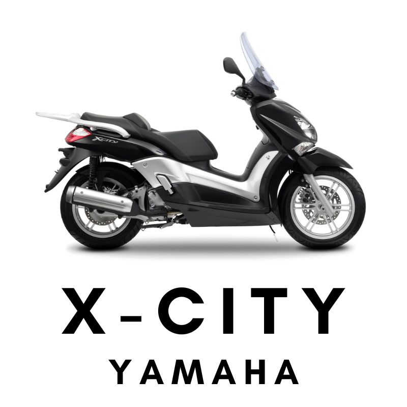 X-City