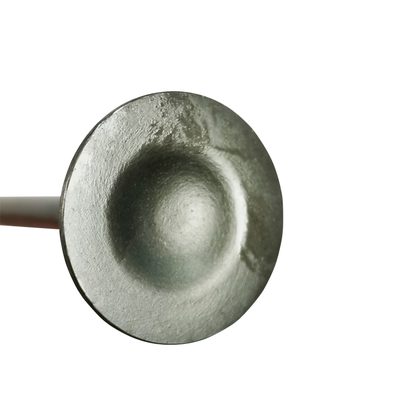 Valve With Nails