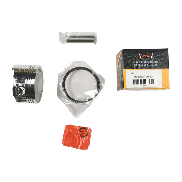 Piston+ Ring