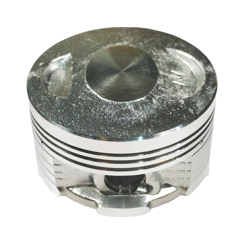 Piston+ Ring