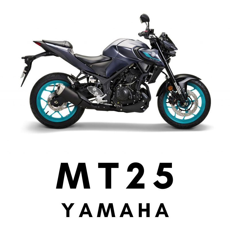 R25/MT-25