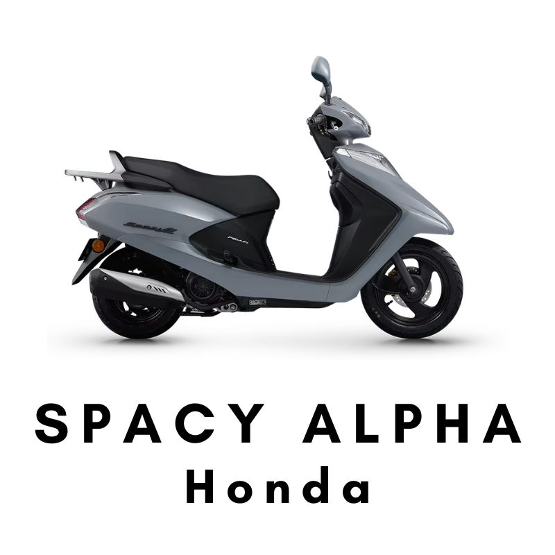 Spacy Alpha